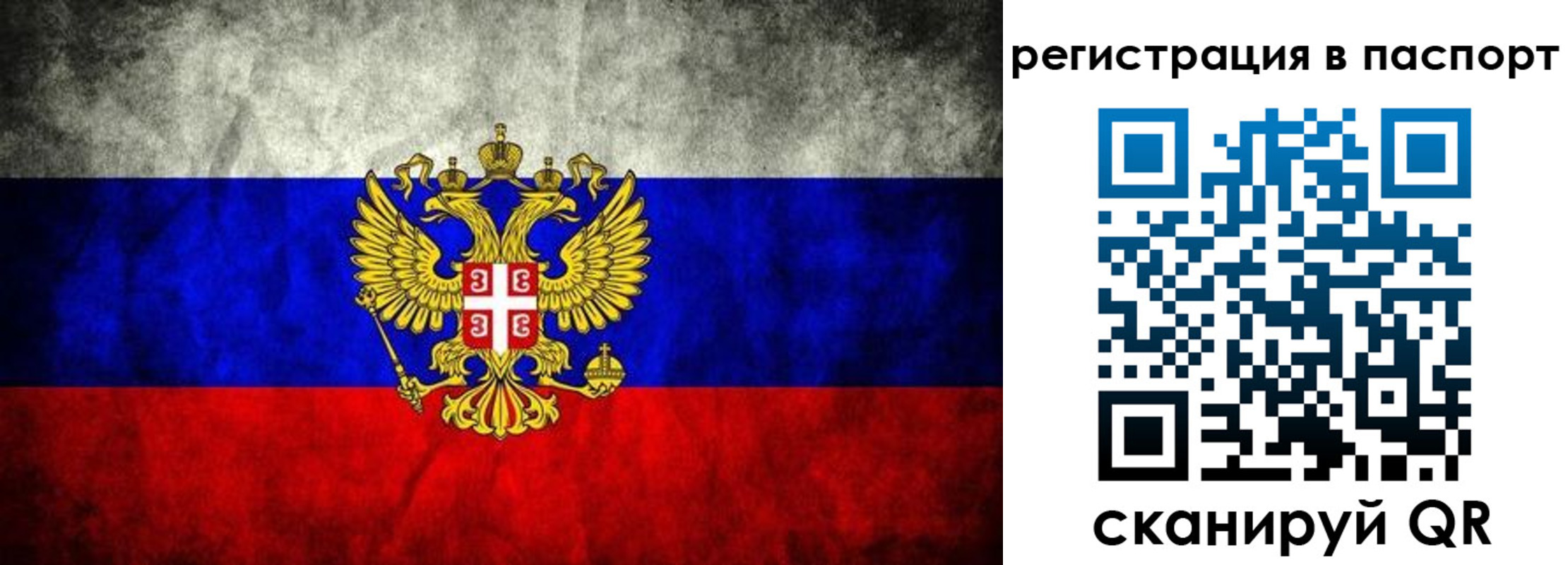 прописка законно в Зеленогорске